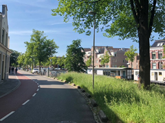 Schermafbeelding 2025-08-07 160621.png
